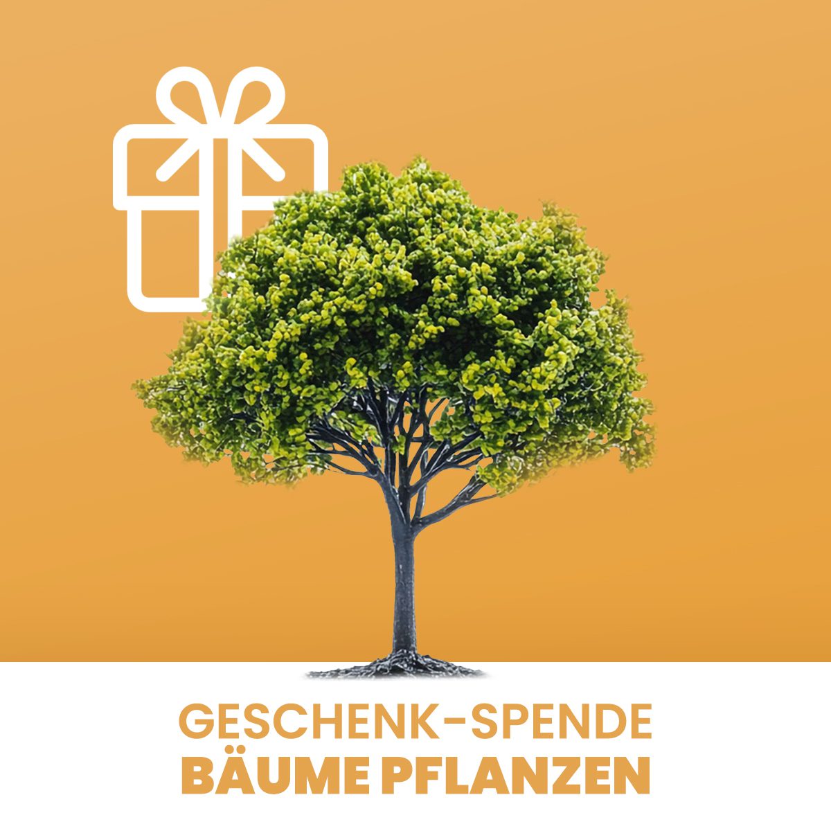 Geschenk-Spende Bäume pflanzen